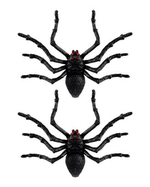 Schwarze Riesen Tarantel 2 St. 14cm