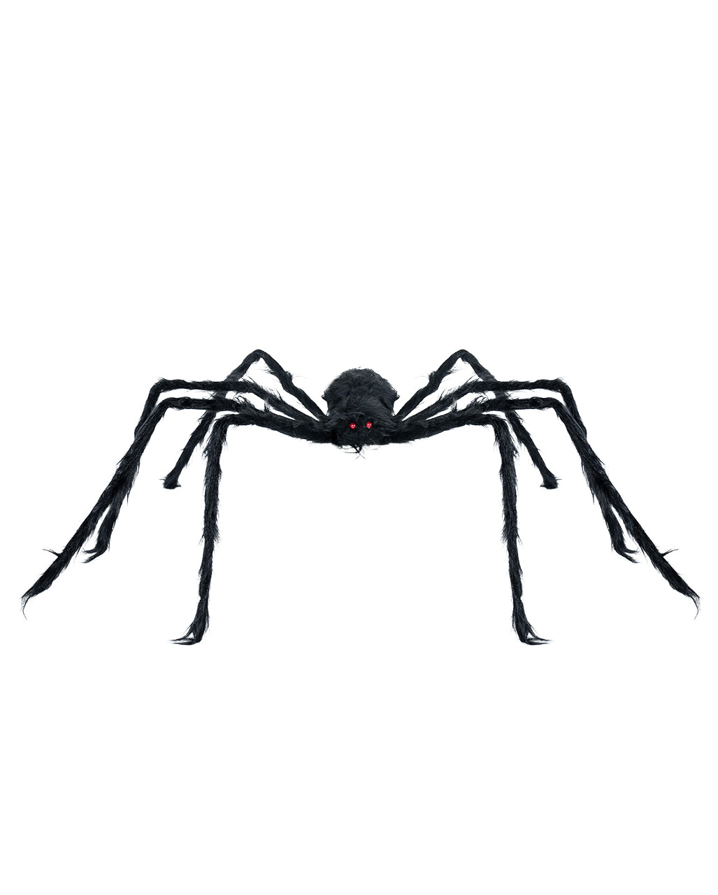 Schwarze Riesenspinne