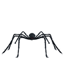 Schwarze Riesenspinne