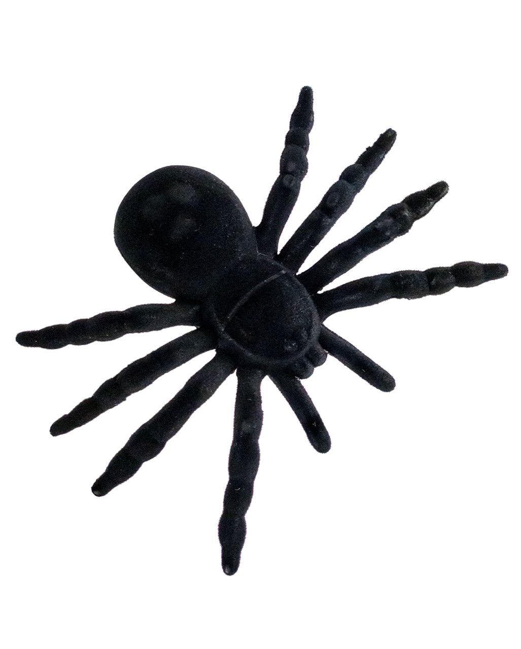Riesige schwarze Spinne 16cm