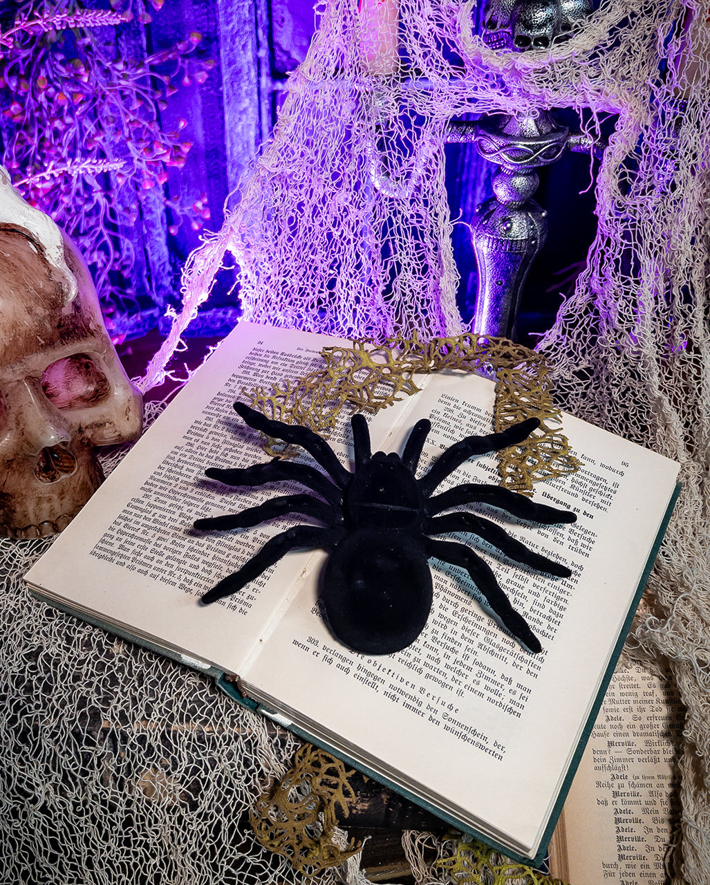 Riesige schwarze Spinne 16cm