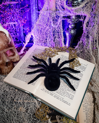 Riesige schwarze Spinne 16cm