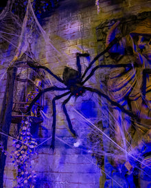 Schwarze Monsterspinne 90cm