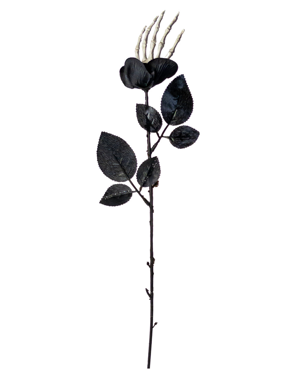 Black Rose With Skeleton Hand