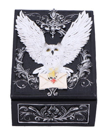 Schwarze Schatulle mit geheimnisvoller Eule 18cm