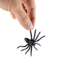 8 schwarze Spinnen