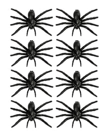 8 schwarze Spinnen
