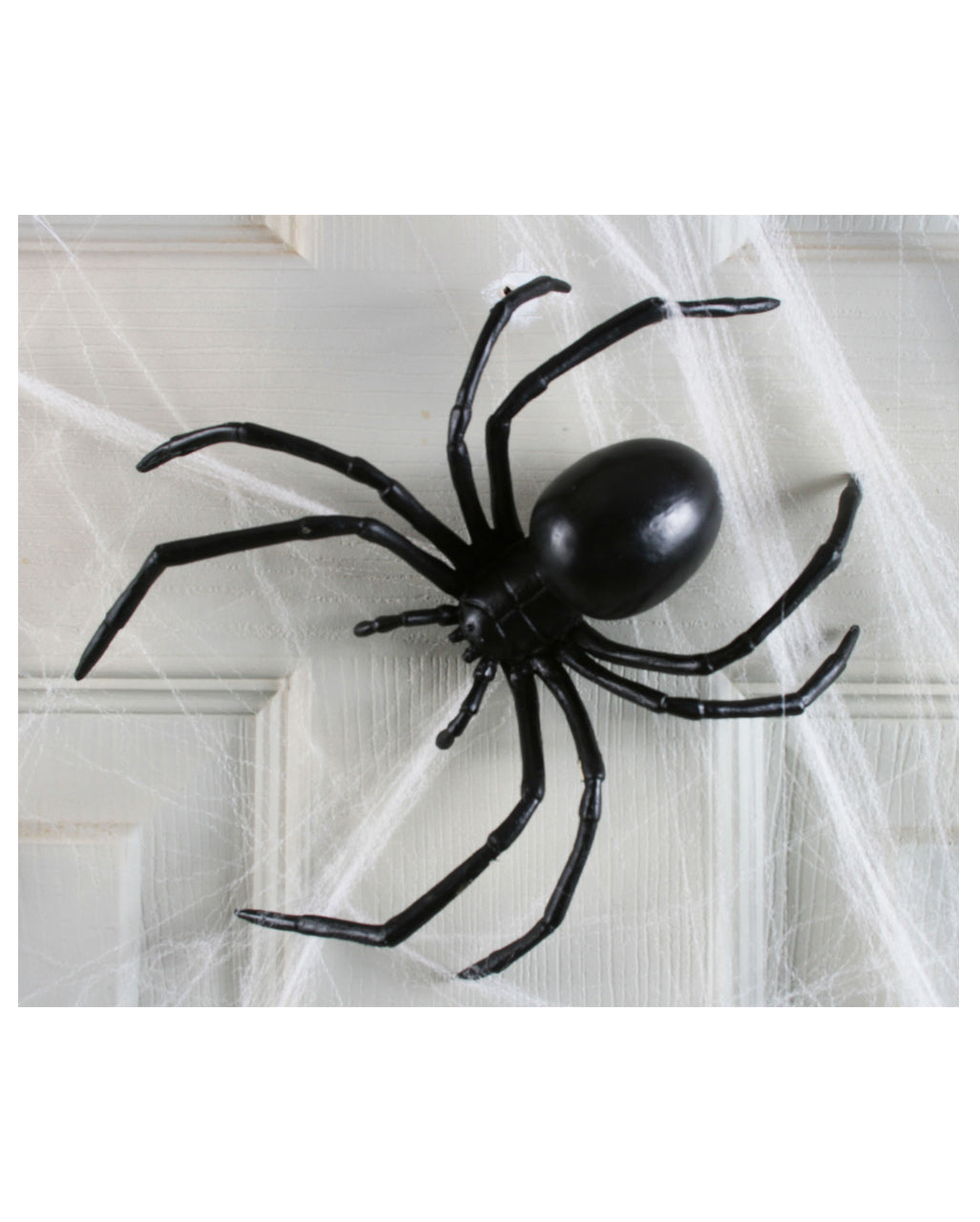 Große Schwarze Witwe