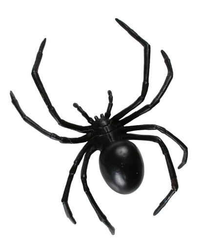 Große Schwarze Witwe