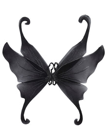 Schmetterling Flügel schwarz