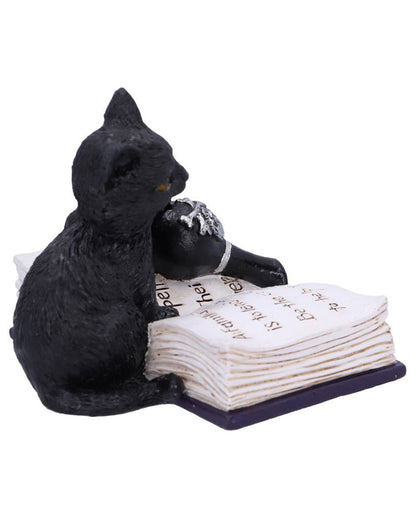 Schwarzes Kätzchen mit Giftfläschen 10,5cm