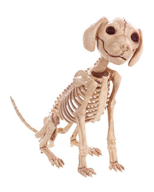 Sitzendes Hundeskelett 30 cm