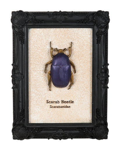 Scarab Beetle In Black Gothic Frame 20cm