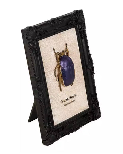 Scarab Beetle In Black Gothic Frame 20cm