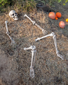 Halloween Skelett für den Garten