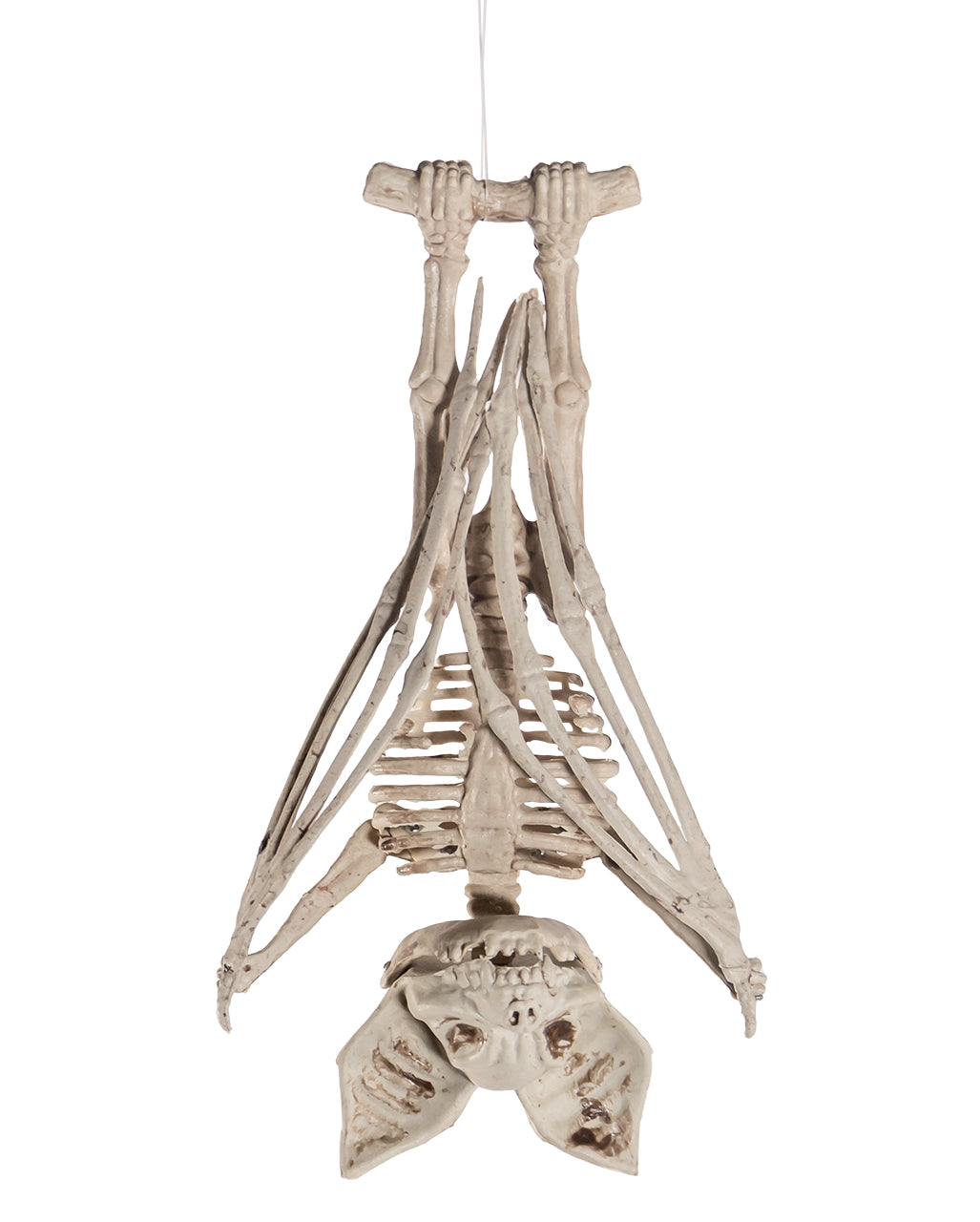Skelett Fledermaus mit aufklappbaren Flügeln 27cm