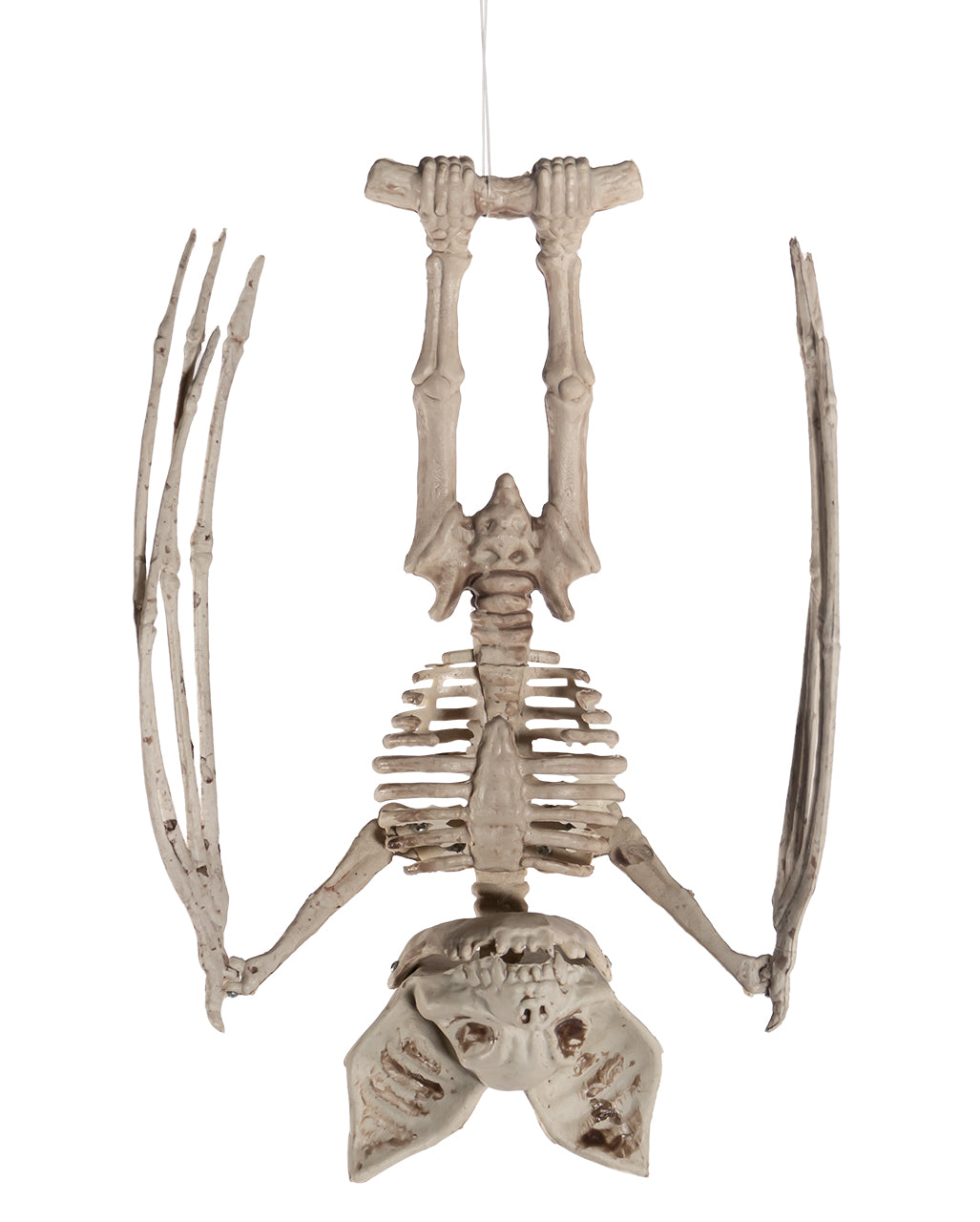 Skelett Fledermaus mit aufklappbaren Flügeln 27cm