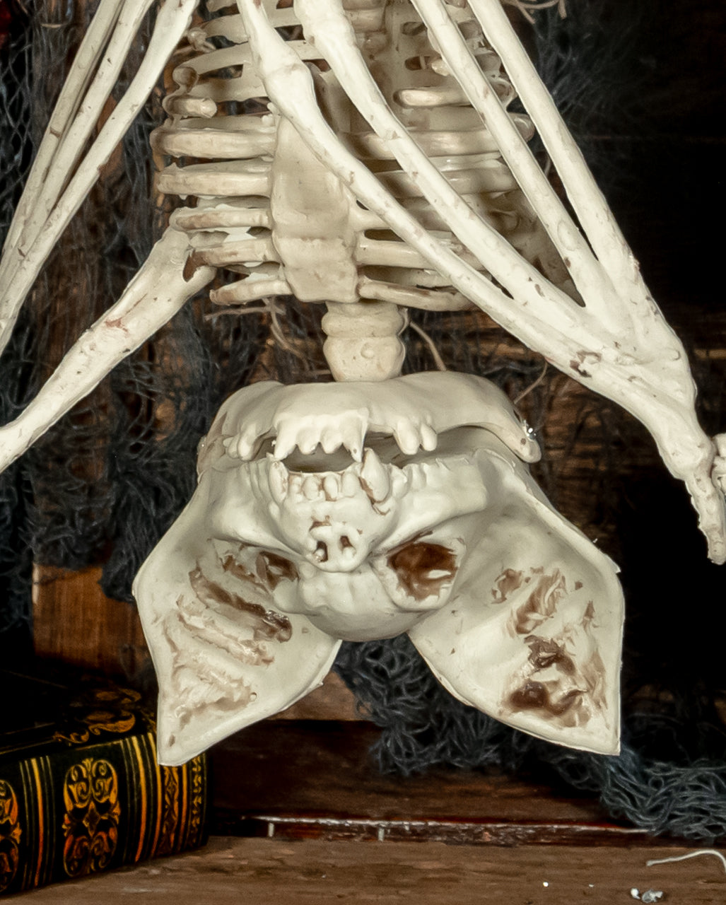 Skelett Fledermaus mit aufklappbaren Flügeln 27cm