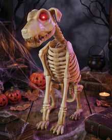 Skeleton Dog With Movement, Light & Sound 30cm