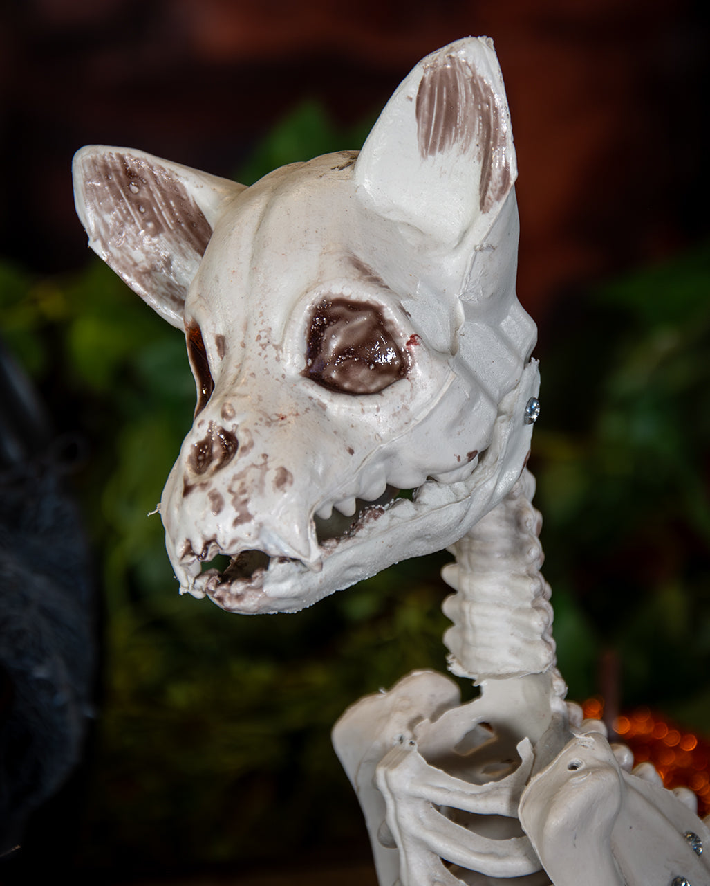 Skelett Katze als Halloween Deko 48cm