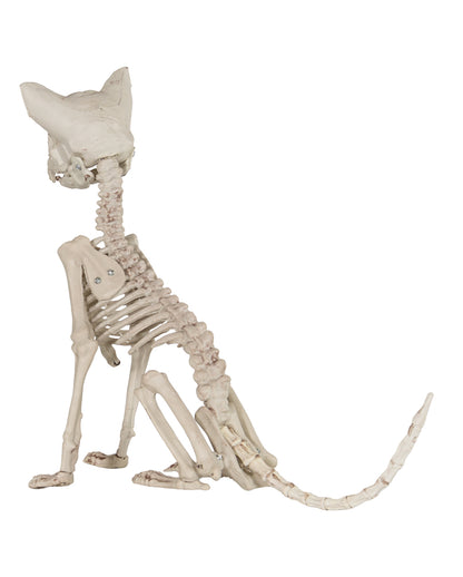 Skelett Katze als Halloween Deko 48cm
