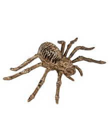 Spinnen Skelett 24cm