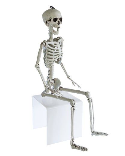 Positionable Skeleton 90cm