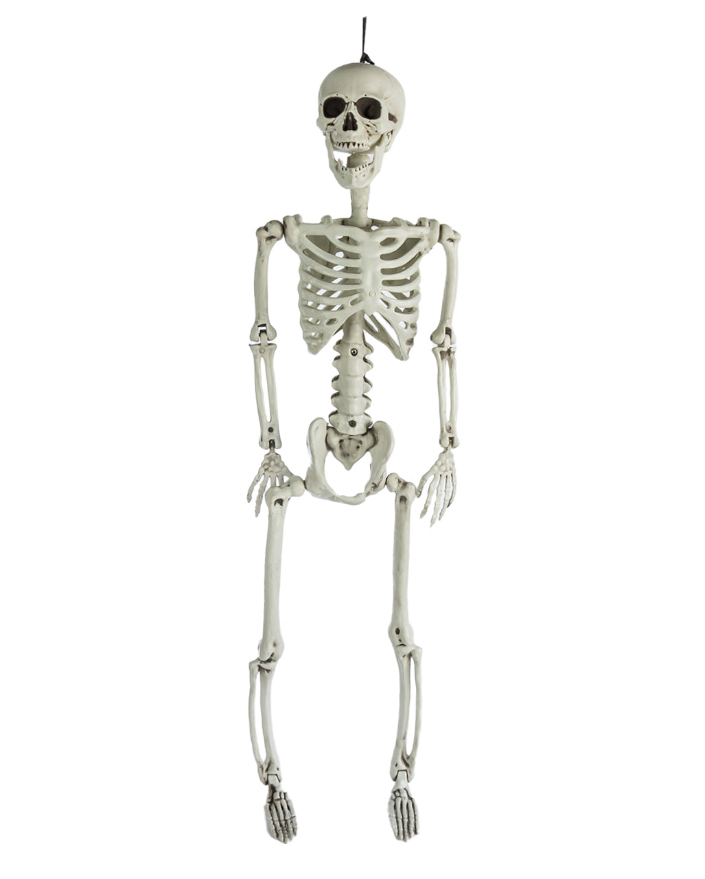 Positionable Skeleton 90cm