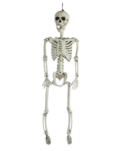 Positionable Skeleton 90cm