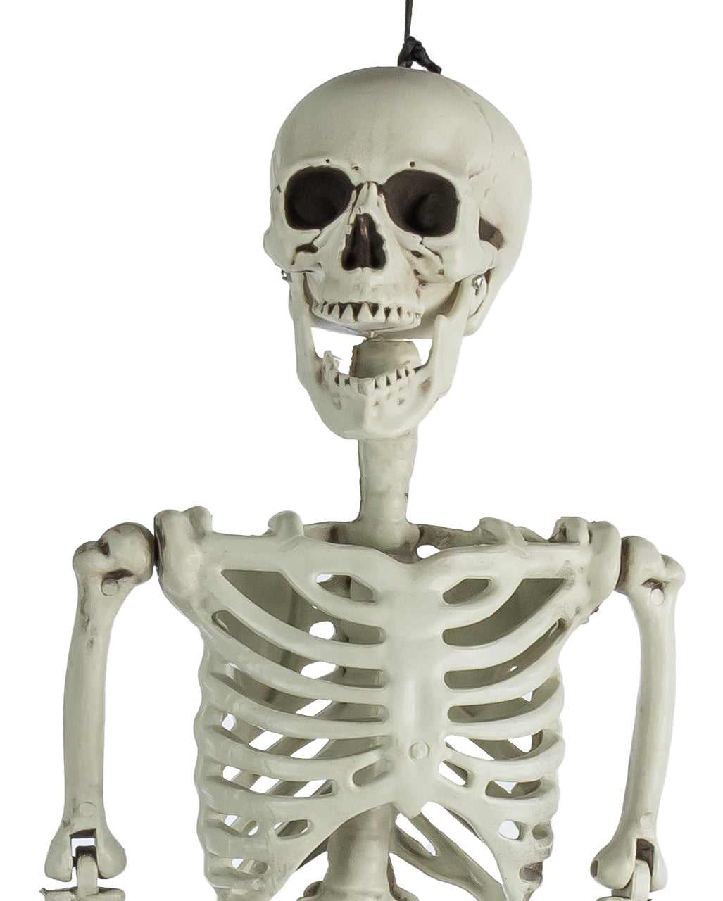 Positionable Skeleton 90cm