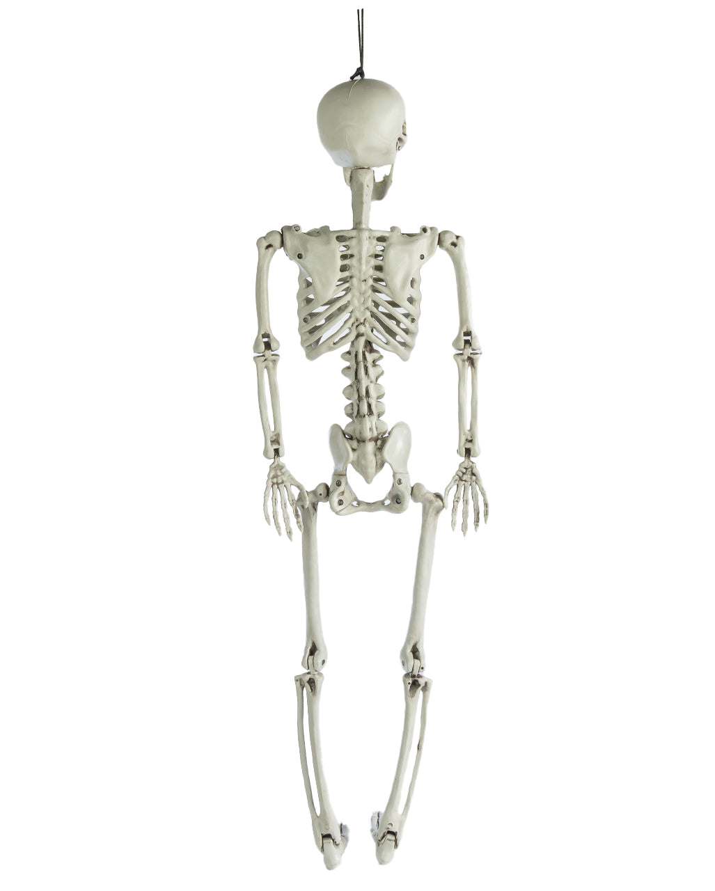 Positionable Skeleton 90cm