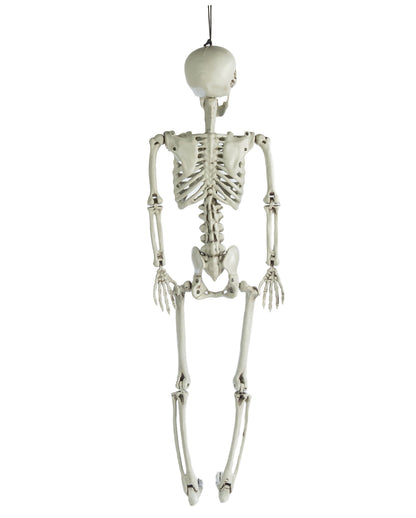 Positionable Skeleton 90cm