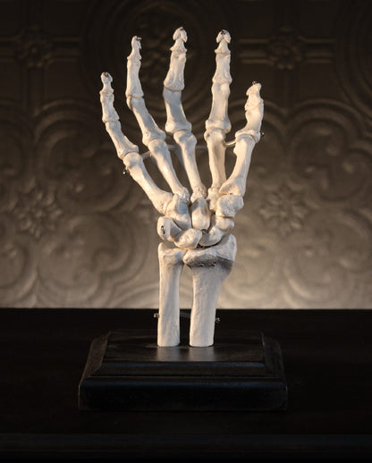Skeleton Hand Jewelry Holder