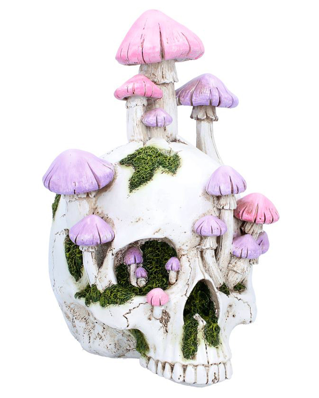 Sporebound Magic Mushroom Totenkopf 29,5cm