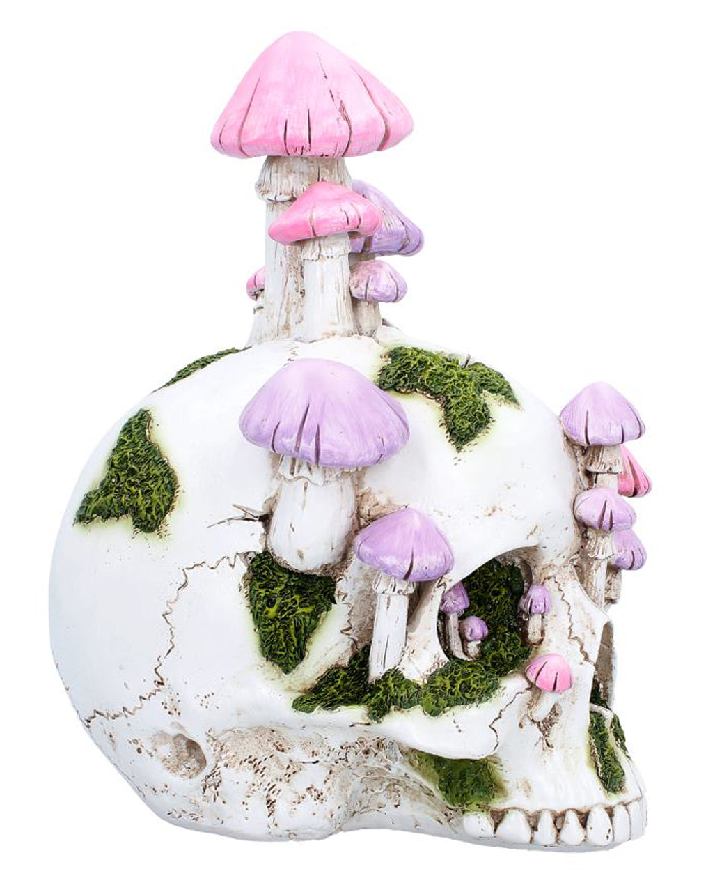 Sporebound Magic Mushroom Totenkopf 29,5cm