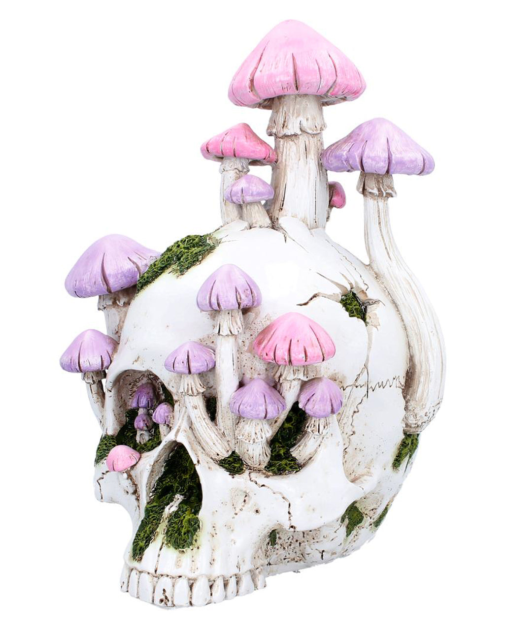 Sporebound Magic Mushroom Totenkopf 29,5cm