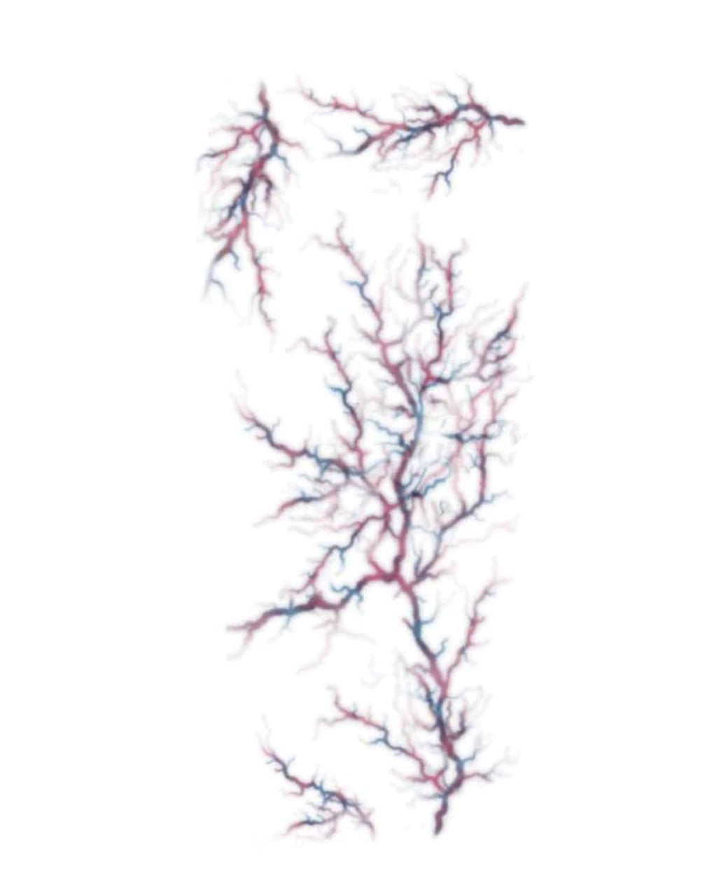 FX Tattoo Possessed Veins zum Aufkleben