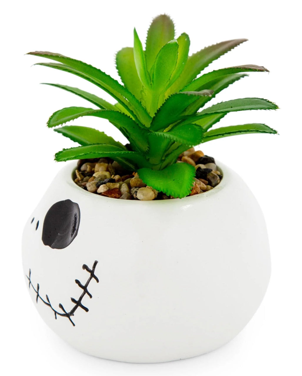 TNBC Jack Skellington Topf mit Sukkulente