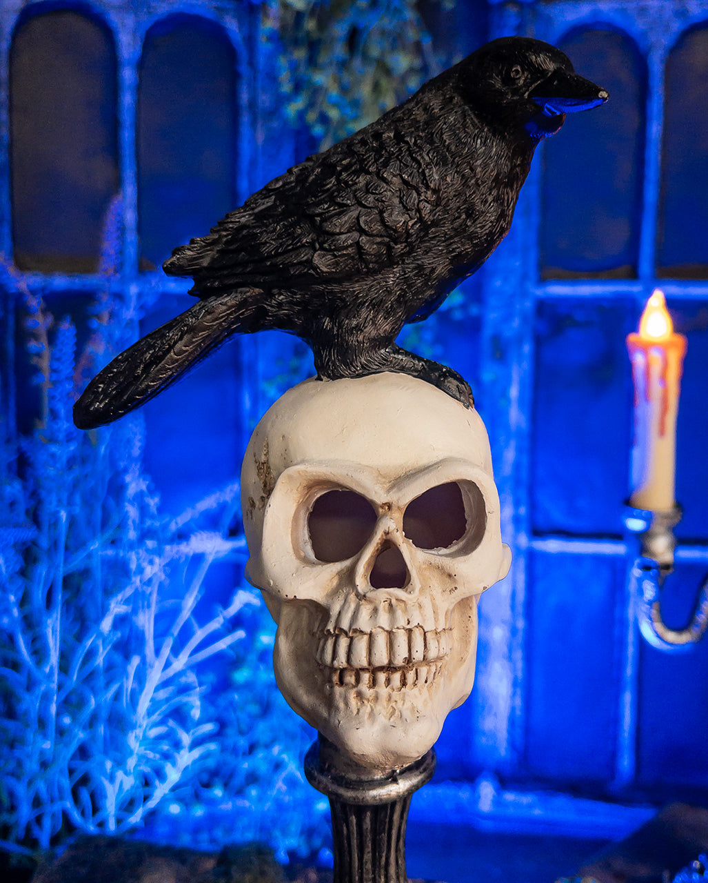 Skull Bust With Raven & LED Lighting 31cm