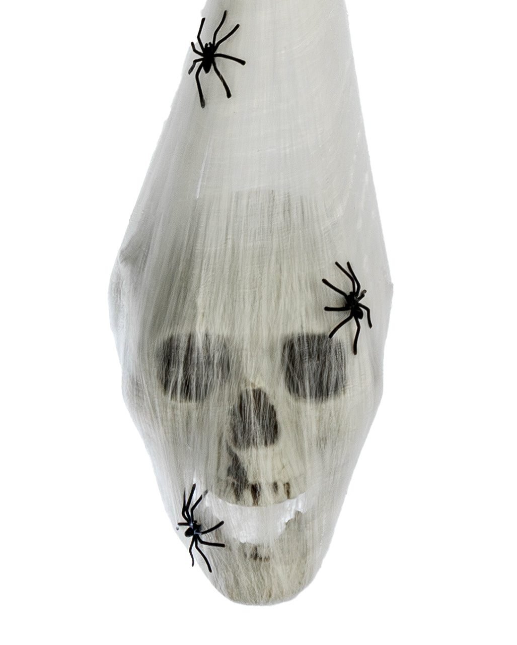 Skull In A Spider Cocoon With Luminous Eyes