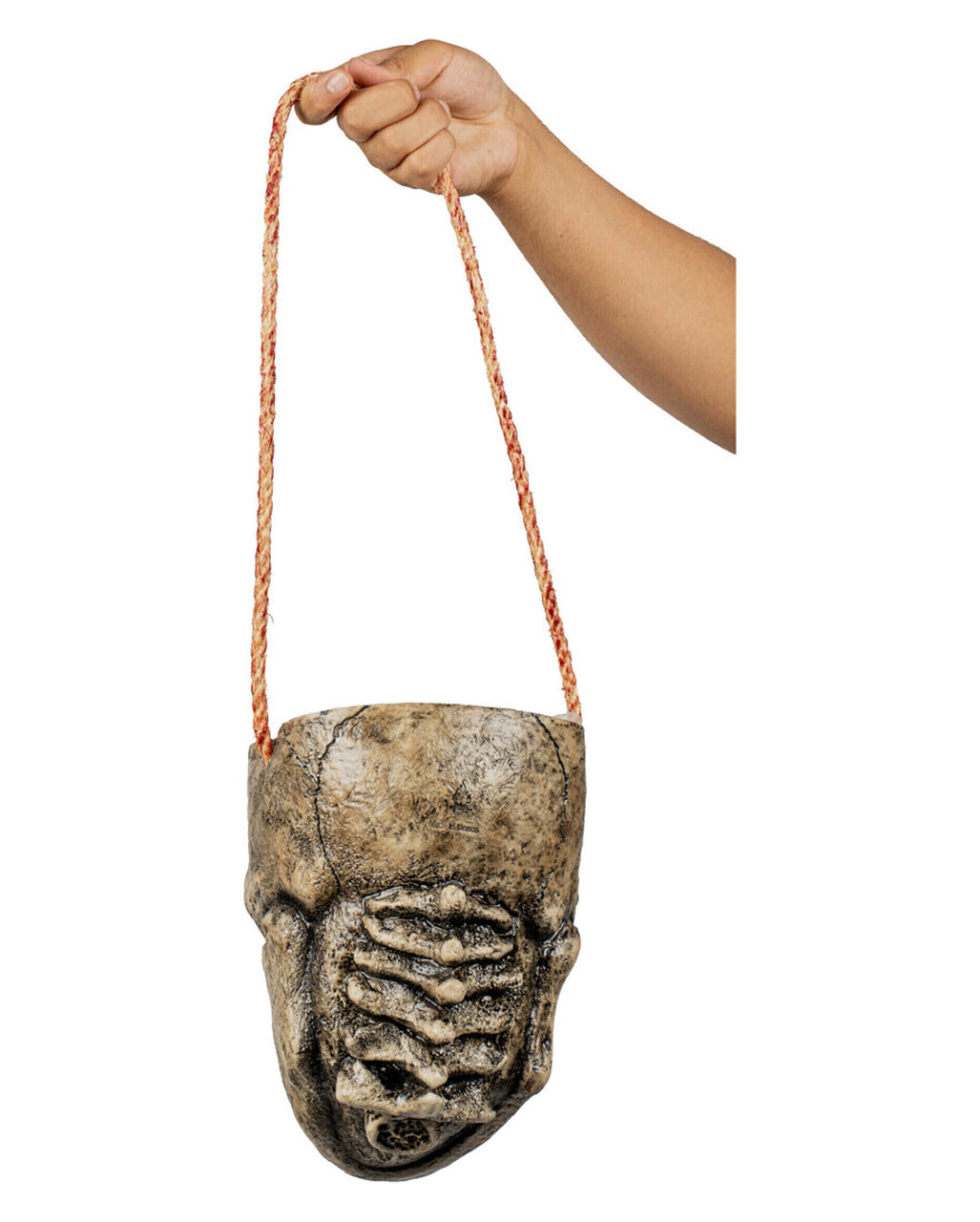 Totenschädel ohne Schädeldecke als Tasche
