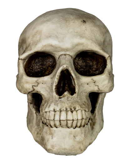 Totenkopf Spardose 19cm