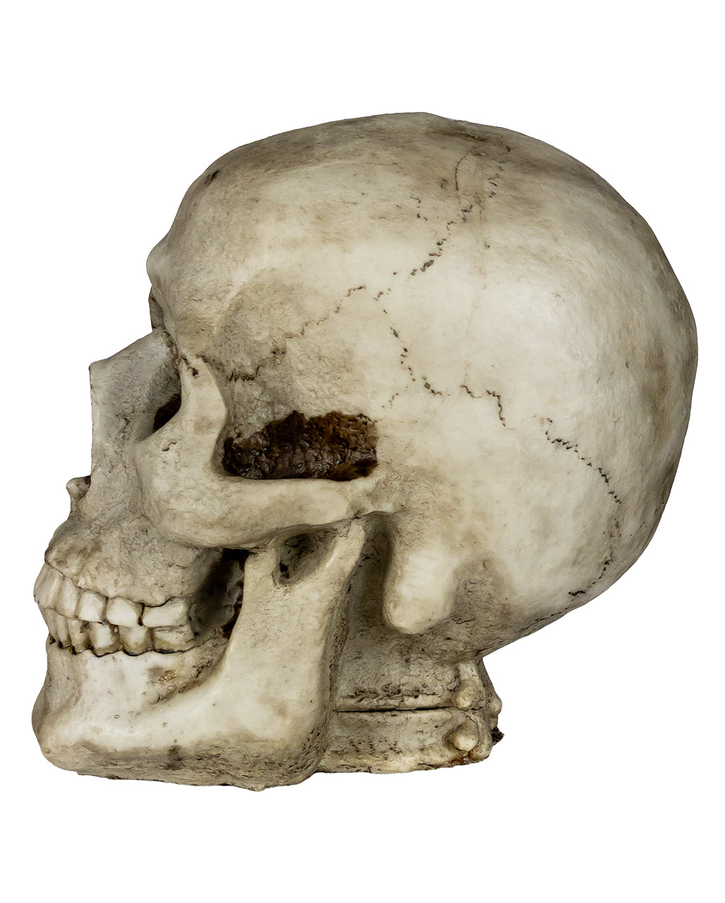 Totenkopf Spardose 19cm