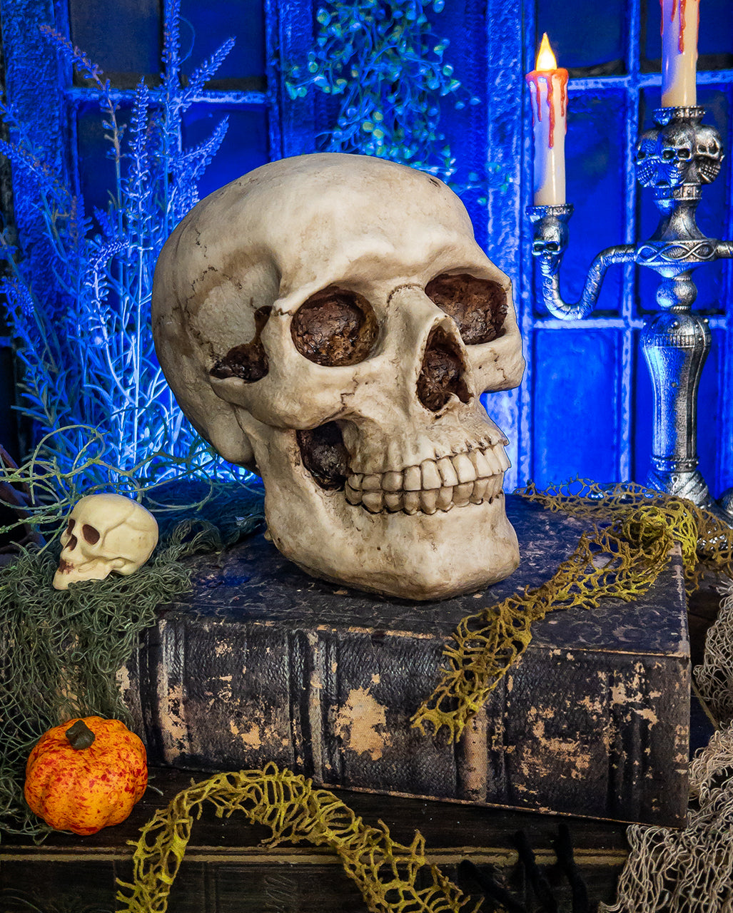 Totenkopf Spardose 19cm