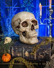 Totenkopf Spardose 19cm