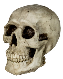 Totenkopf Spardose 19cm