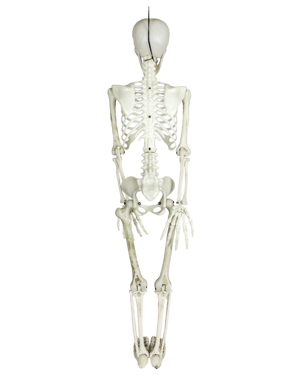 Glow in the Dark Deko-Skelett 90cm