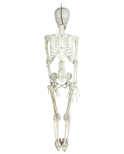 Glow in the Dark Deko-Skelett 90cm