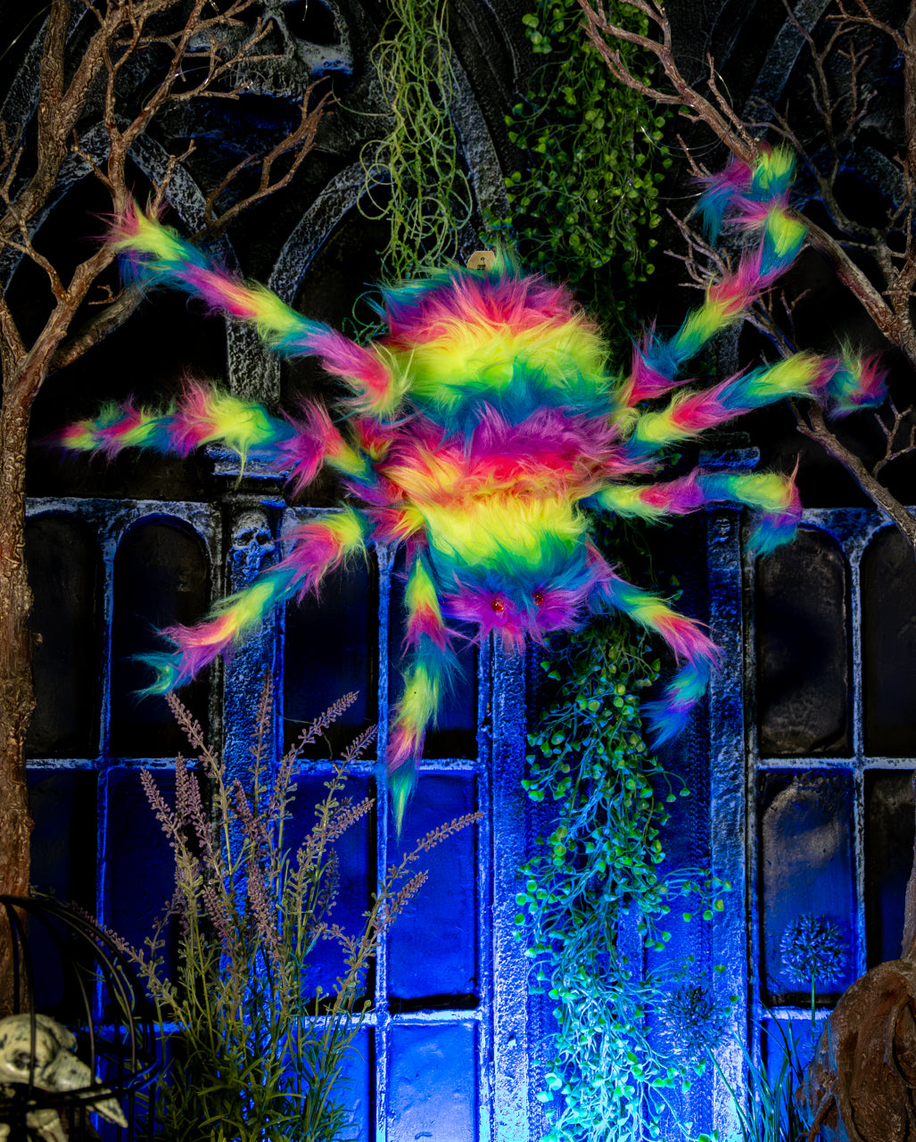 Schwarzlicht Aktive Riesenspinne