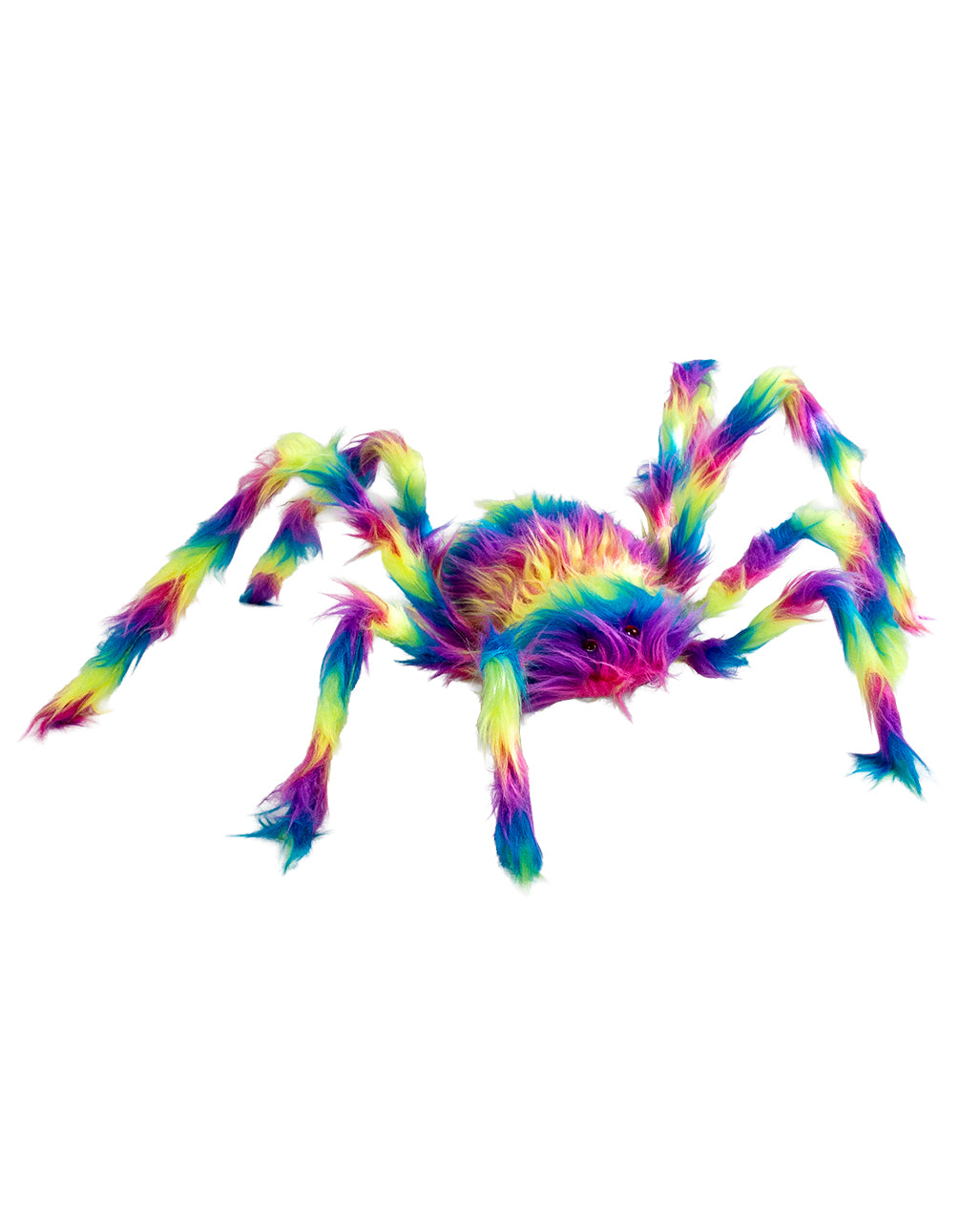 Schwarzlicht Aktive Riesenspinne